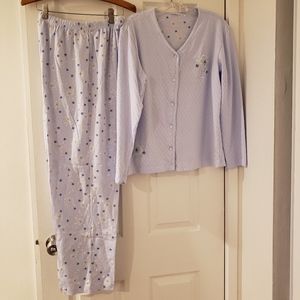 NWOT Secret Treasures Baby Blue Sleepwear Set
